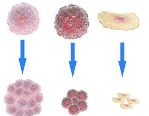 1522387852399381.jpg QQ截圖20180330133633.jpg