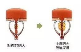 1525312326910765.jpg 123.jpg