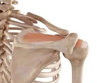 1545457649715875.jpg 1559022209190701.jpg